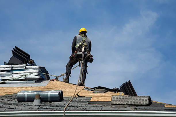 Professional Roof Replacement technician working in Sparrows Point, MD
